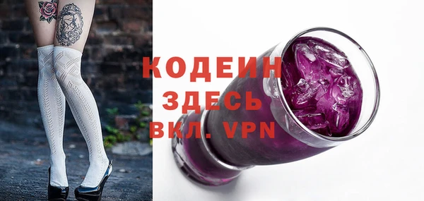 индика Балахна