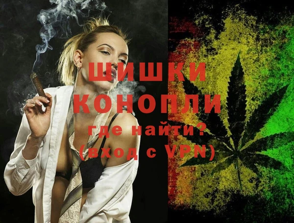 прущие грибы Беломорск