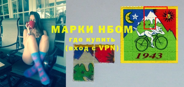 прущие грибы Беломорск