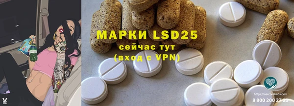 индика Балахна