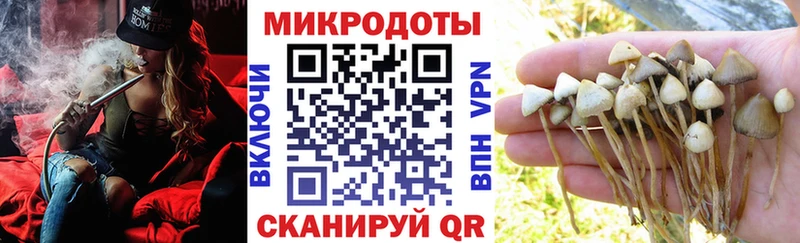 Купить закладки  Ельня  Галлюциногенные грибы ЛСД 