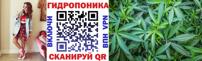 Бошки Шишки индика Ельня